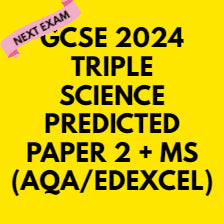 GCSE PREDICTED 2024 TRIPLE BIOLOGY (H) PAPERS (AQA/EDEXCEL)